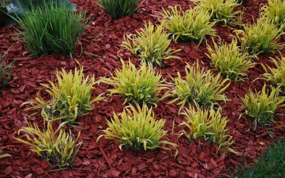 Is Bulk Mulch Delivery Better Than Bagged Mulch?