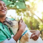 The Connection Between Animal Hospitals And Community Health
