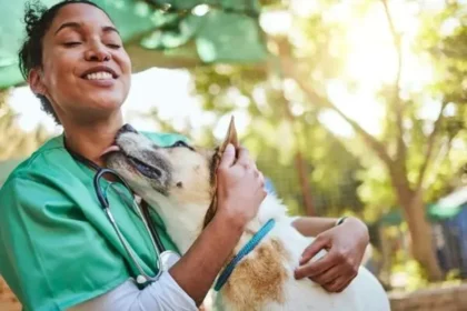 The Connection Between Animal Hospitals And Community Health