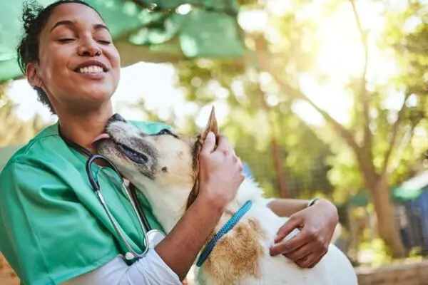 The Connection Between Animal Hospitals And Community Health