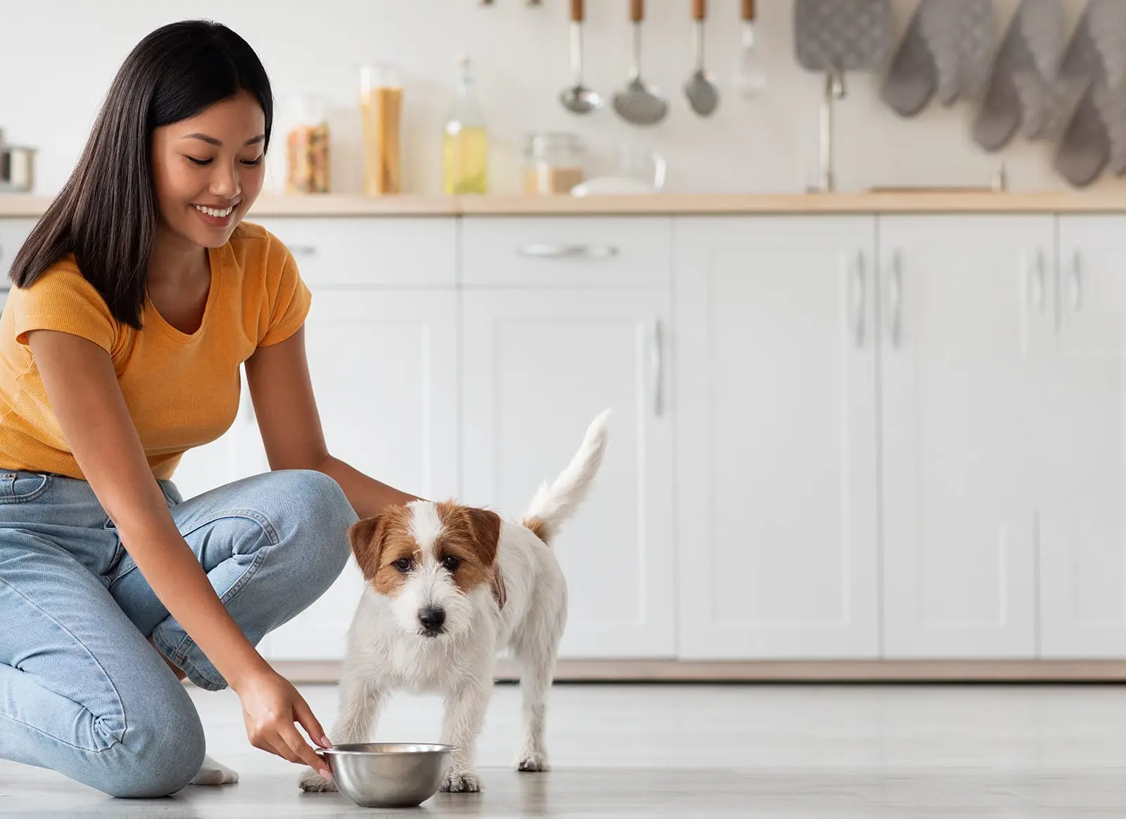  The Importance Of Nutrition Counseling At Animal Hospitals