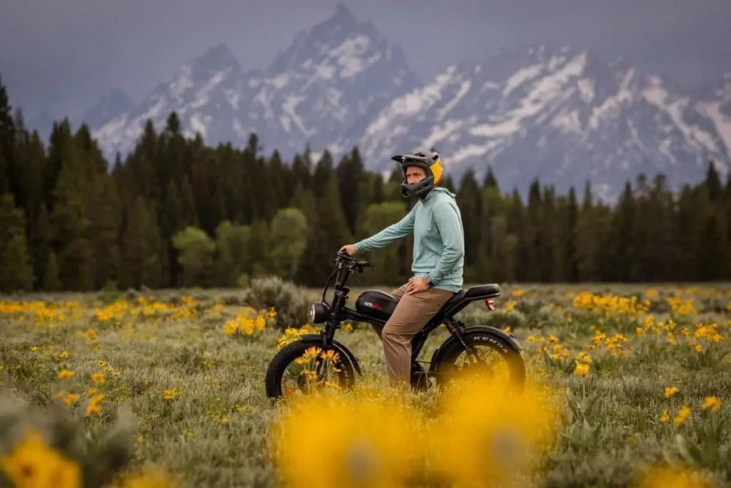 Emoko C93 electric bike in a mountain flower field