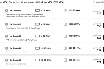 Dedicated Server Rentals