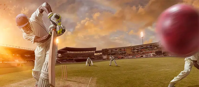 What Users Look for in Modern Cricket Betting Applications