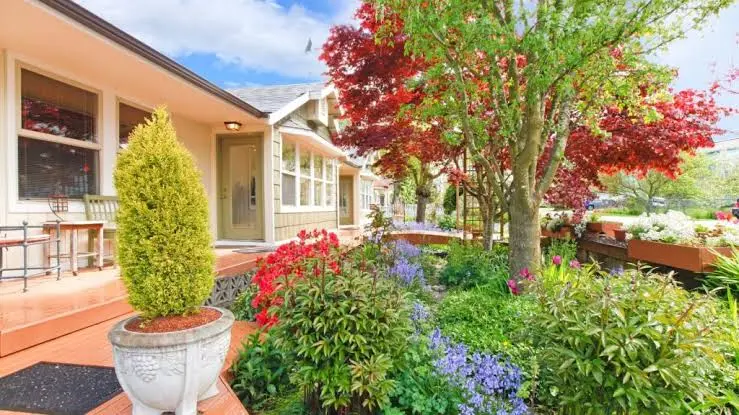 Artificial Outdoor Trees vs Real Trees: Which Option Enhances Curb Appeal?