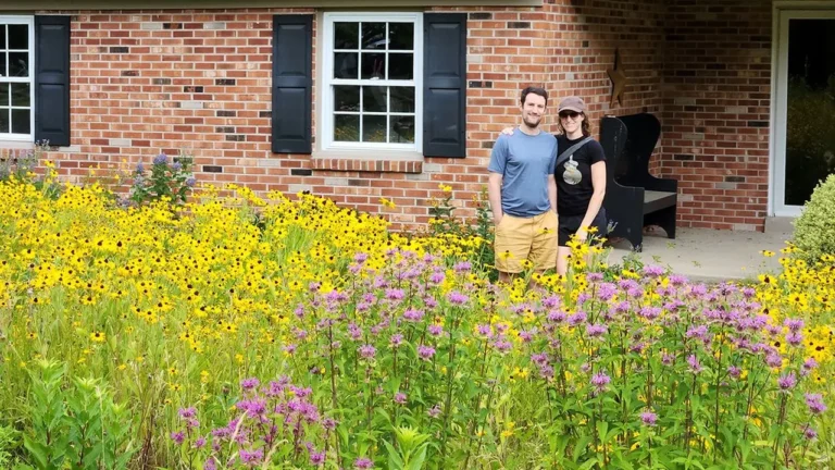 Transforming Your Yard With Expert Lawn Fertilization Twin Cities