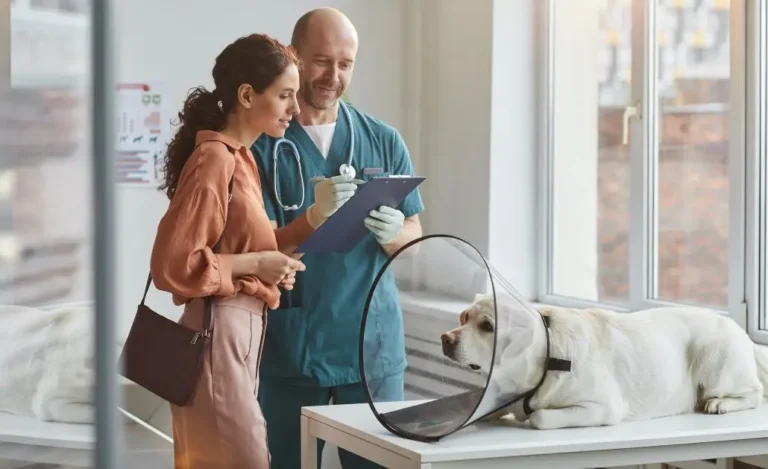 4 Ways Veterinary Hospitals Enhance Preventive Pet Care