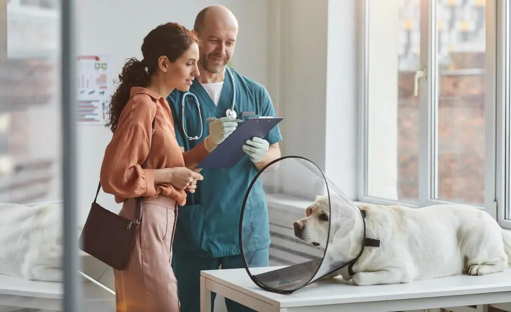  4 Ways Veterinary Hospitals Enhance Preventive Pet Care