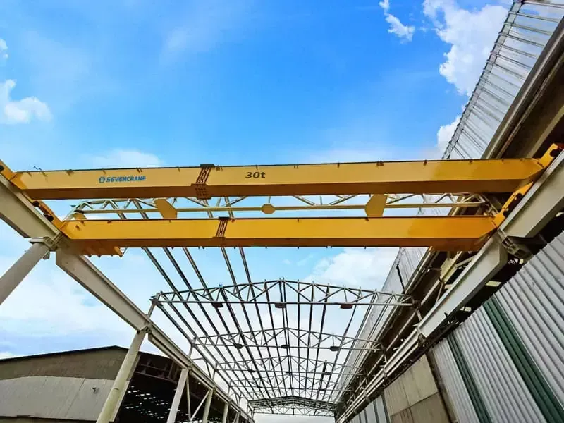 Chinese Crane